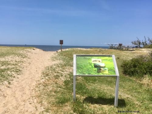 9 Compelling Reasons to Love the Tri-Villages on Hatteras Island