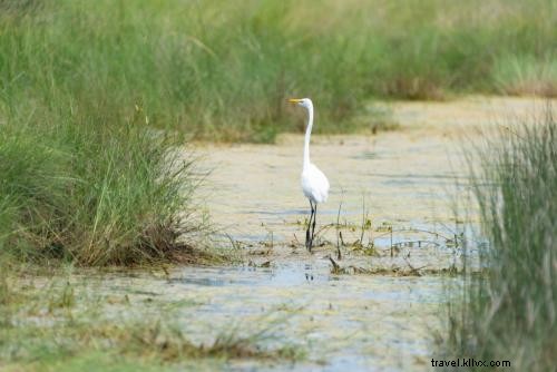 9 Compelling Reasons to Love the Tri-Villages on Hatteras Island