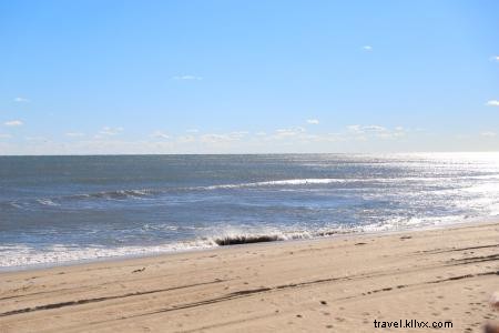 Best OBX Restaurants & Bars: Top Casual Spots for Fresh Seafood in the Outer Banks