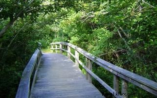 Discover Hidden Hiking Trails in the Outer Banks (OBX): Secret Spots for Every Adventurer