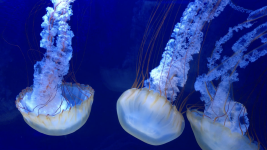 5 Fun Rainy Day Activities on the Outer Banks for Families