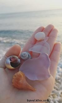 Discovering Rare Sea Glass Treasures on the Outer Banks Shores