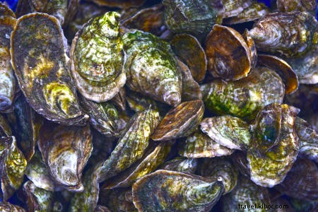 OBX Oysters 101: Your Essential Guide to These Sustainable Seafood Gems