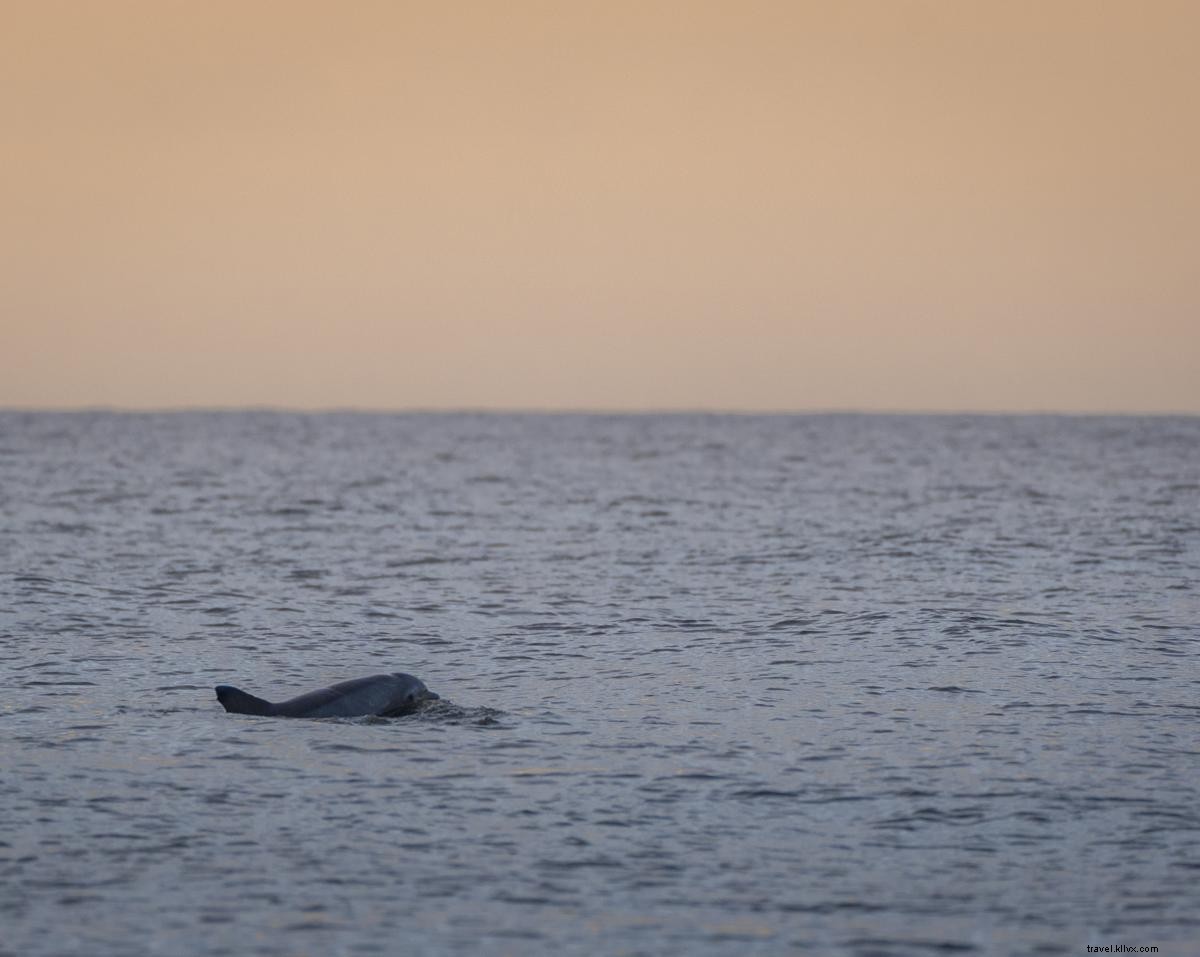 Jekyll Island: Where Outdoor Adventure Meets Historic Luxury