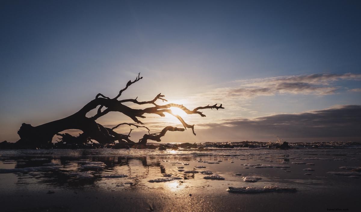 Jekyll Island: Where Outdoor Adventure Meets Historic Luxury