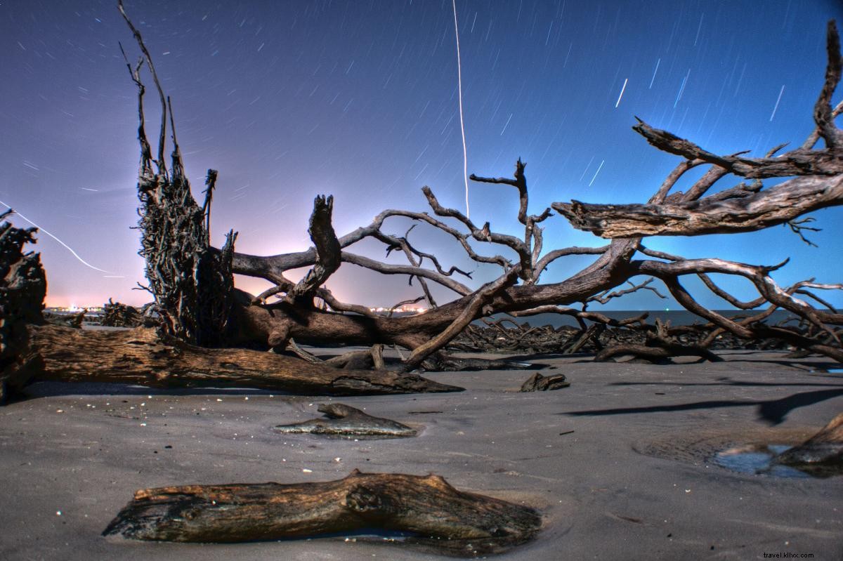 Top 4 Stargazing Spots in Georgia s Golden Isles for Unforgettable Night Skies