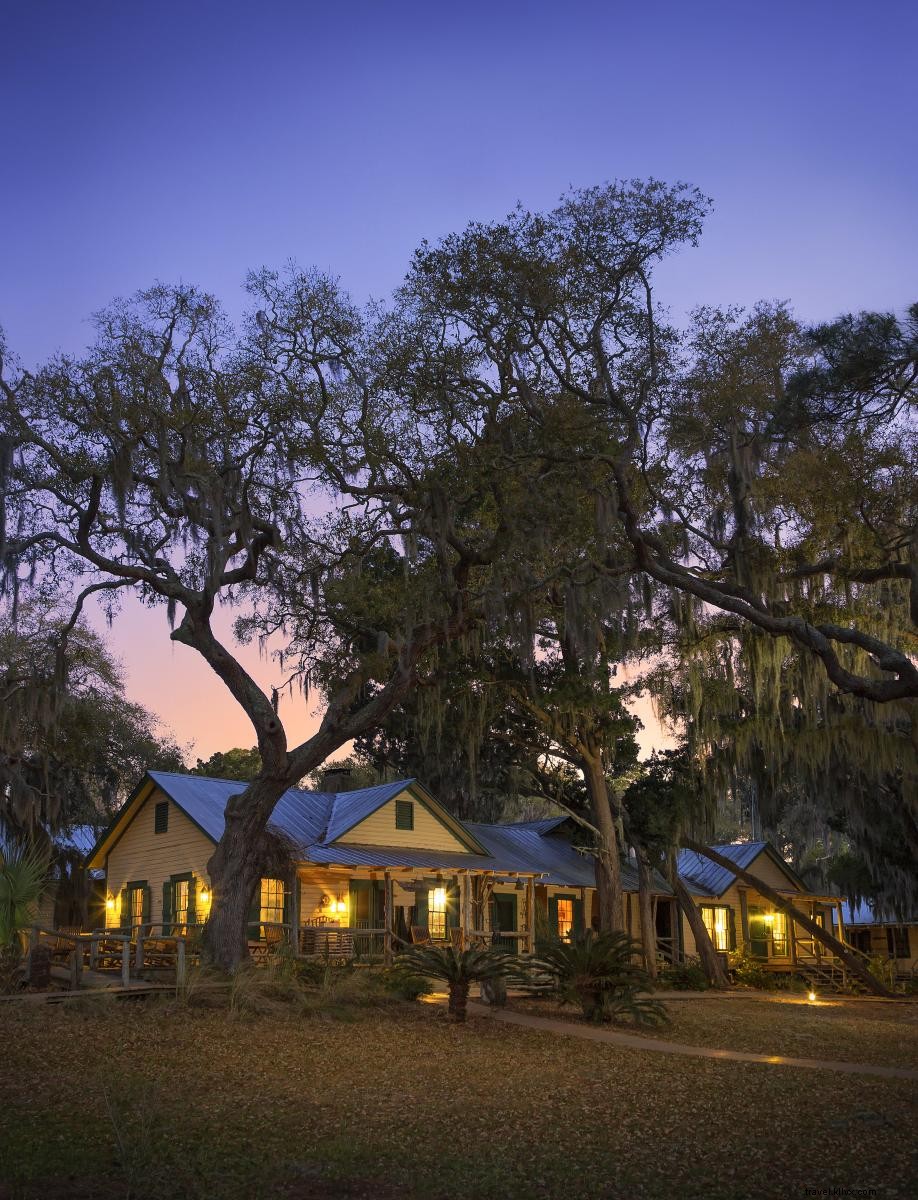 Top 4 Stargazing Spots in Georgia s Golden Isles for Unforgettable Night Skies