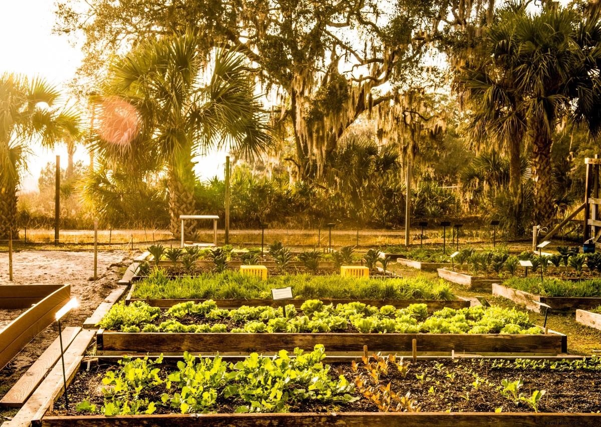 7 Must-Try Dishes in Georgia s Golden Isles: A Food Lover s Guide