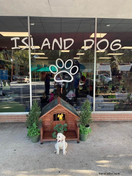 Ultimate Pet-Friendly Guide to Georgia s Golden Isles: Beaches, Parks, Dining & Stays from Local Dogs Ruby & Lola