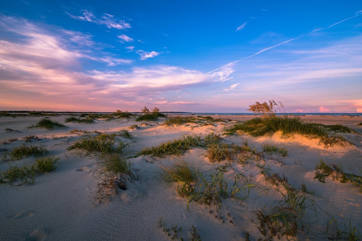 Top Budget-Friendly Family Adventures in Georgia s Golden Isles