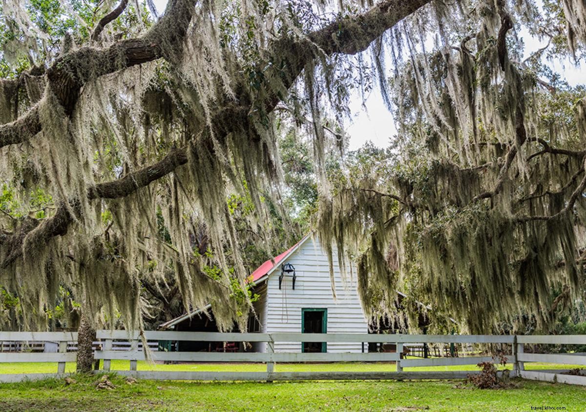 7 Historic Sites Celebrating African American Heritage in Georgia s Golden Isles