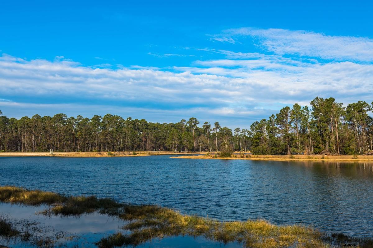 Top Beachside Camping Spots in Georgia s Golden Isles: Your Ultimate Guide