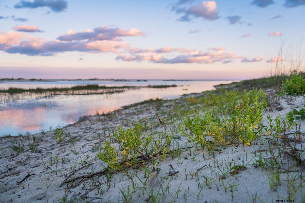 5 Unforgettable Romantic Date Ideas Unique to Georgia s Golden Isles