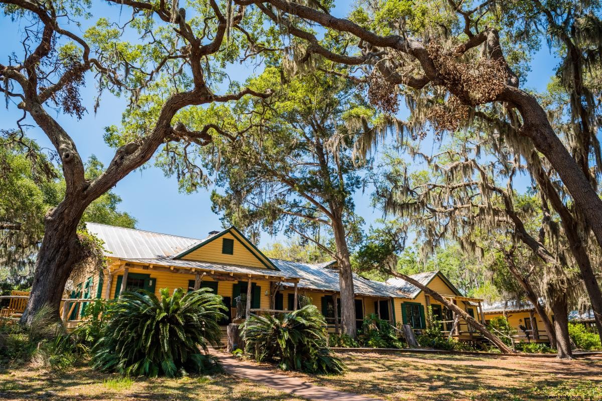 Top Things to Do on Little St. Simons Island: A Private Nature Escape
