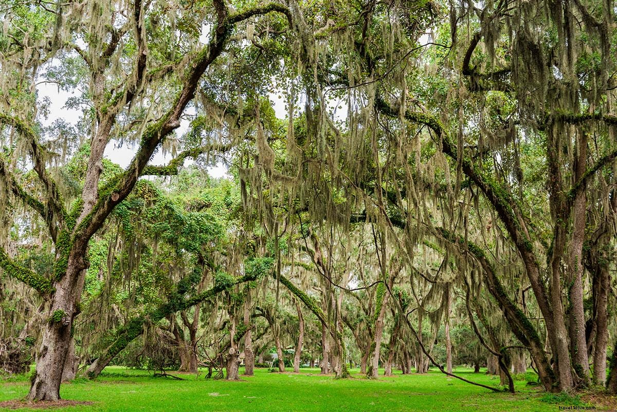 Ultimate Guide to the Best Spring Break in the Golden Isles