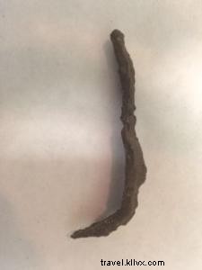 Archaeologists Uncover Evidence of Plantation-Era Smokehouse at Gascoigne Bluff