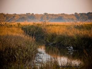 Fall Delights in the Golden Isles: Mild Weather, Festivals, and Coastal Beauty