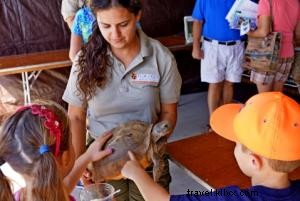 Fall Delights in the Golden Isles: Mild Weather, Festivals, and Coastal Beauty