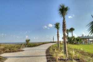 Ultimate Biking Itineraries: Explore Georgia s Golden Isles on St. Simons and Jekyll Islands