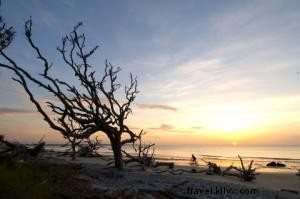 Ultimate Biking Itineraries: Explore Georgia s Golden Isles on St. Simons and Jekyll Islands