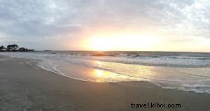 Dawn Patrol: Protecting Nesting Sea Turtles on Sea Island