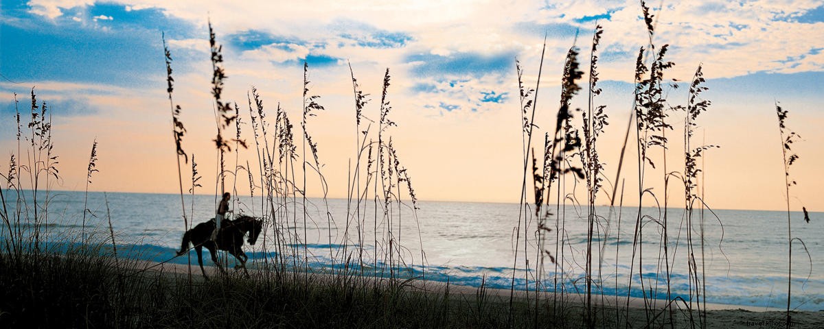 Ultimate Guide to Sea Island Resort: Premier Dining, Lodging & Activities in Georgia s Golden Isles