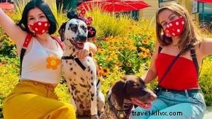 Ultimate Guide to Outdoor Dining in Anaheim: Best Patios and Al Fresco Spots