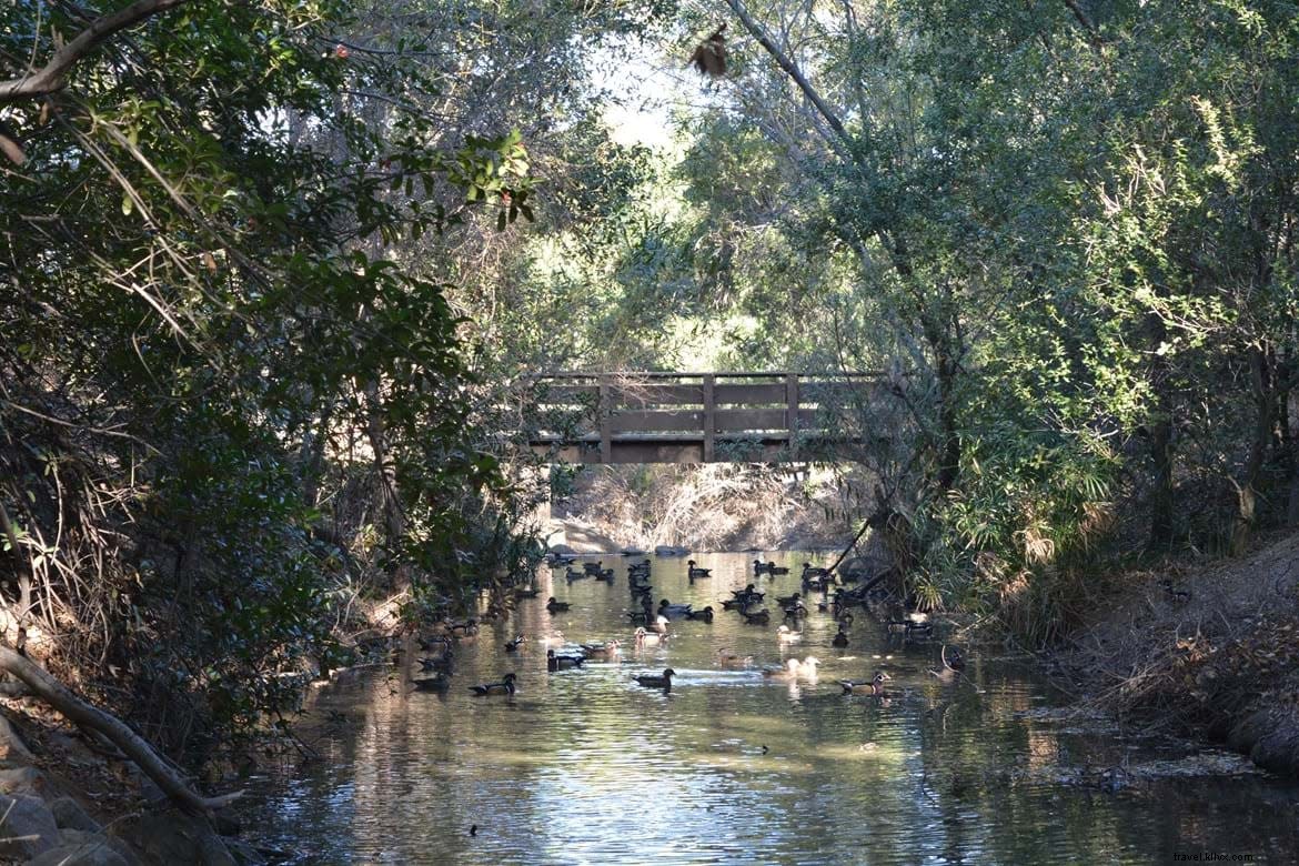 Ultimate Guide to Multigenerational Family Vacations in Anaheim