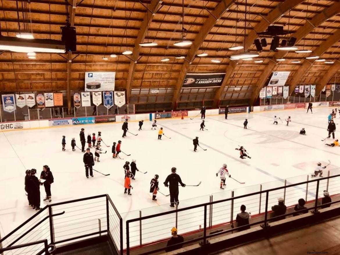 Unique Adventures in Anaheim: Trapeze, Go-Karts, Ice Skating & More