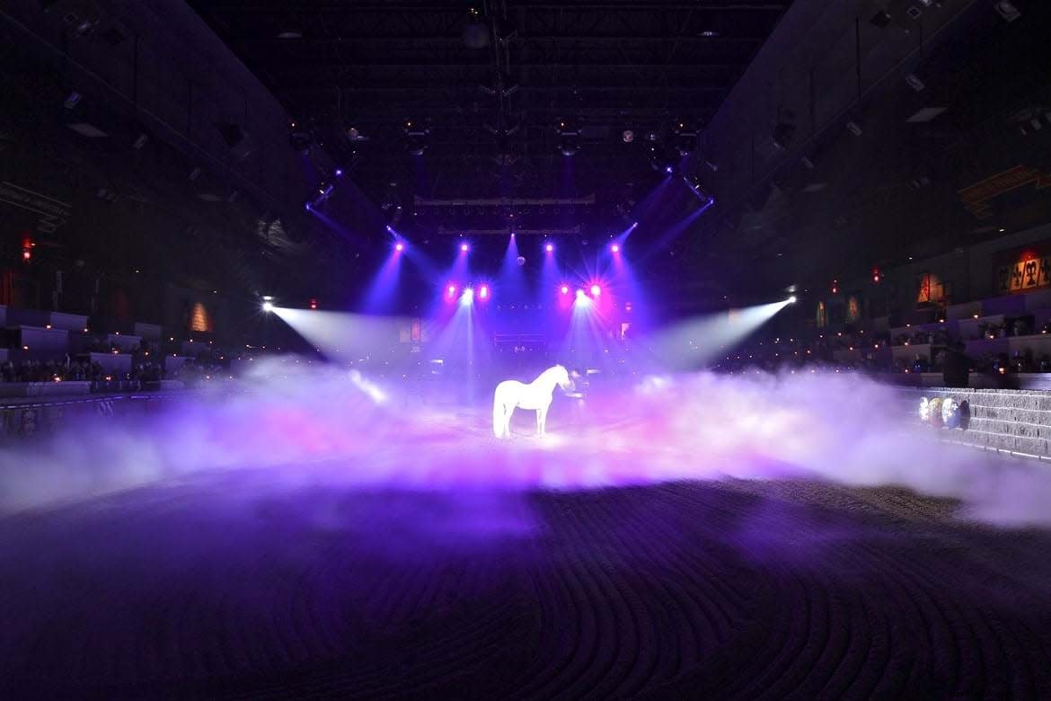 Unique Adventures in Anaheim: Trapeze, Go-Karts, Ice Skating & More