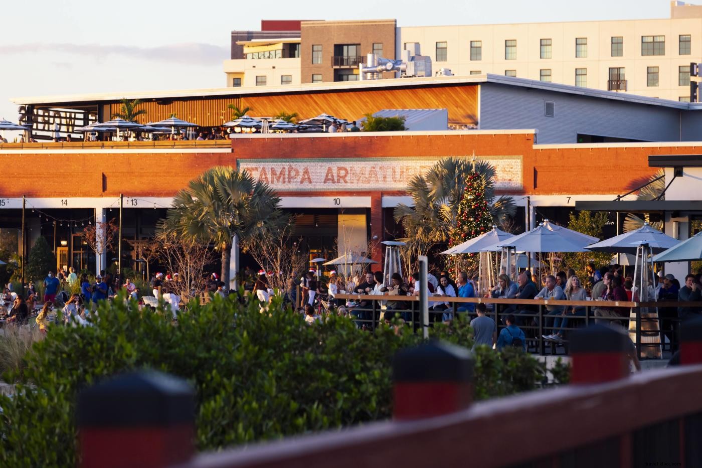 Best Free Things to Do in Tampa Bay: Enjoy Sunsets, Parks, Events & More