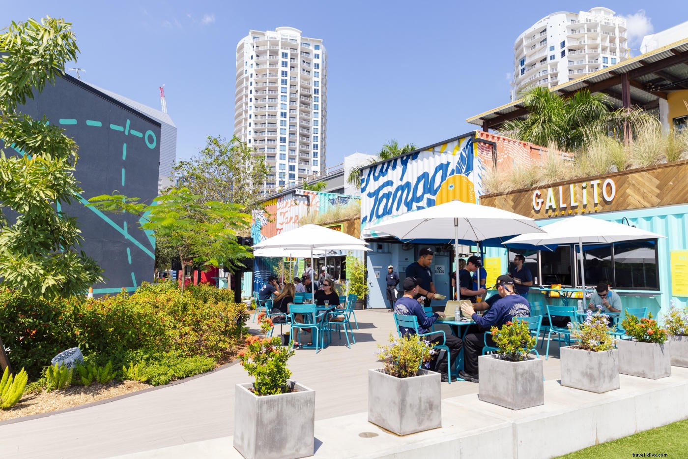 Best Free Things to Do in Tampa Bay: Enjoy Sunsets, Parks, Events & More