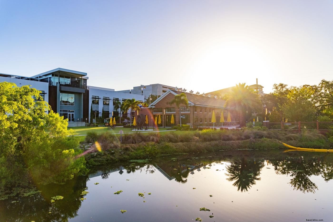 Top Father s Day Activities in Tampa Bay: Cruises, Brunches & More