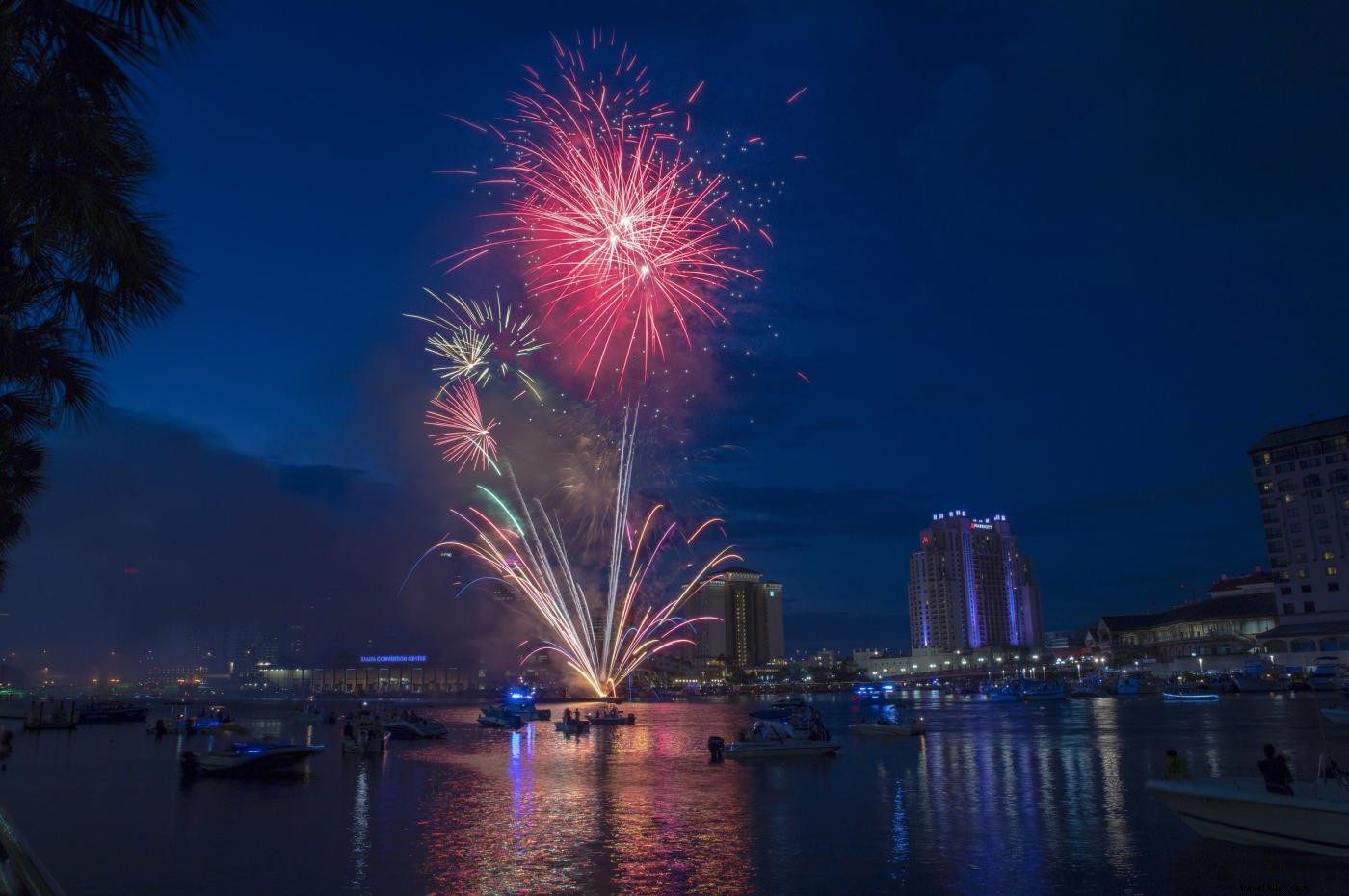 12 Must-Do Summer Activities in Tampa Bay