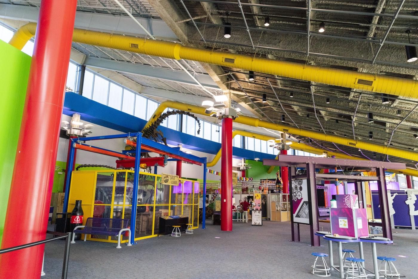 12 Must-Do Summer Activities in Tampa Bay