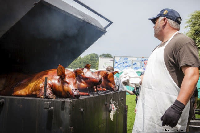 12 Must-Do Summer Activities in Tampa Bay