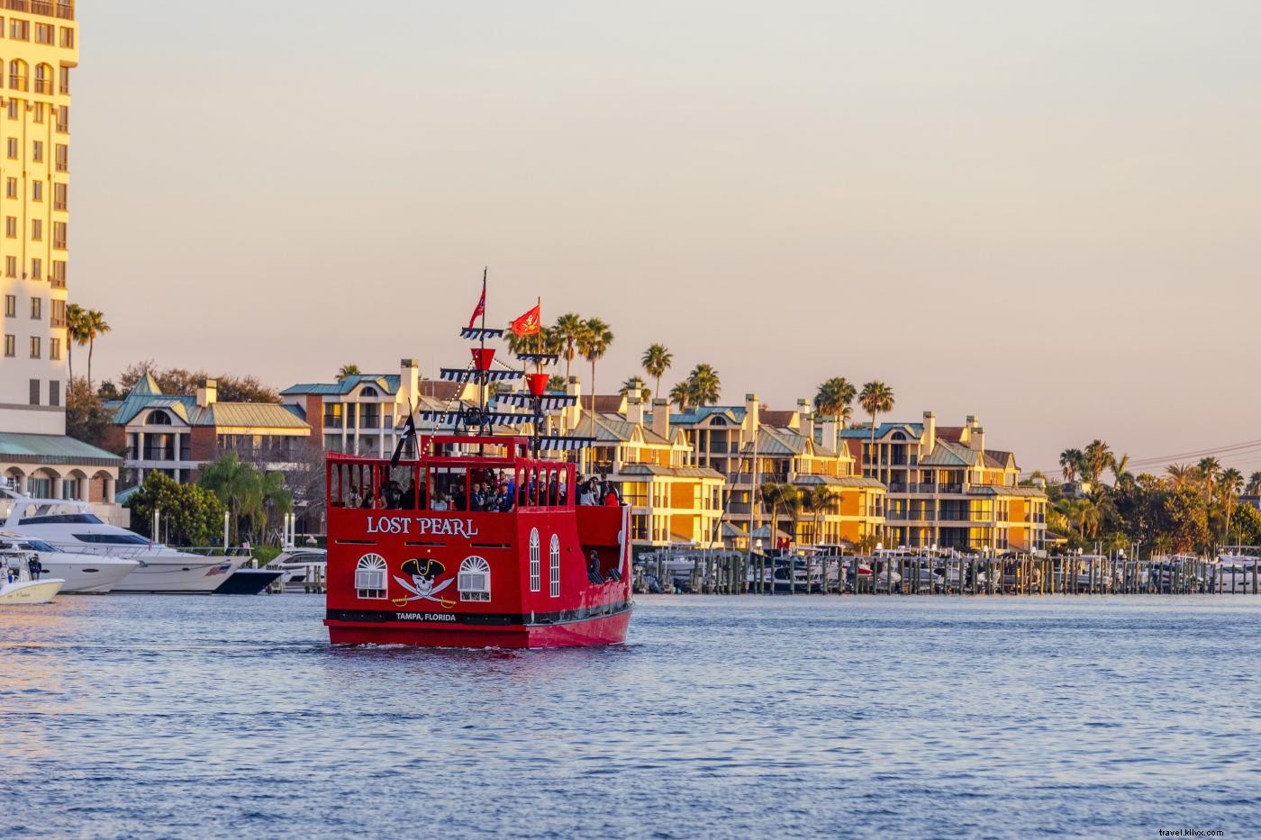 12 Must-Do Summer Activities in Tampa Bay