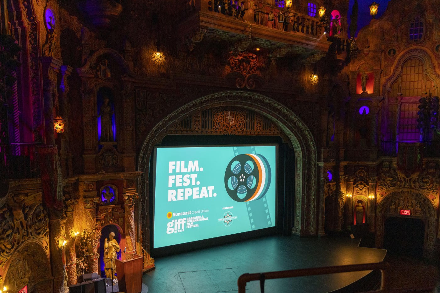 12 Must-Do Summer Activities in Tampa Bay