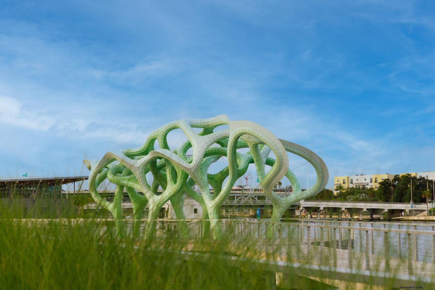 10 Must-Do Kid-Friendly Activities in Tampa Bay for Epic Family Summer Fun