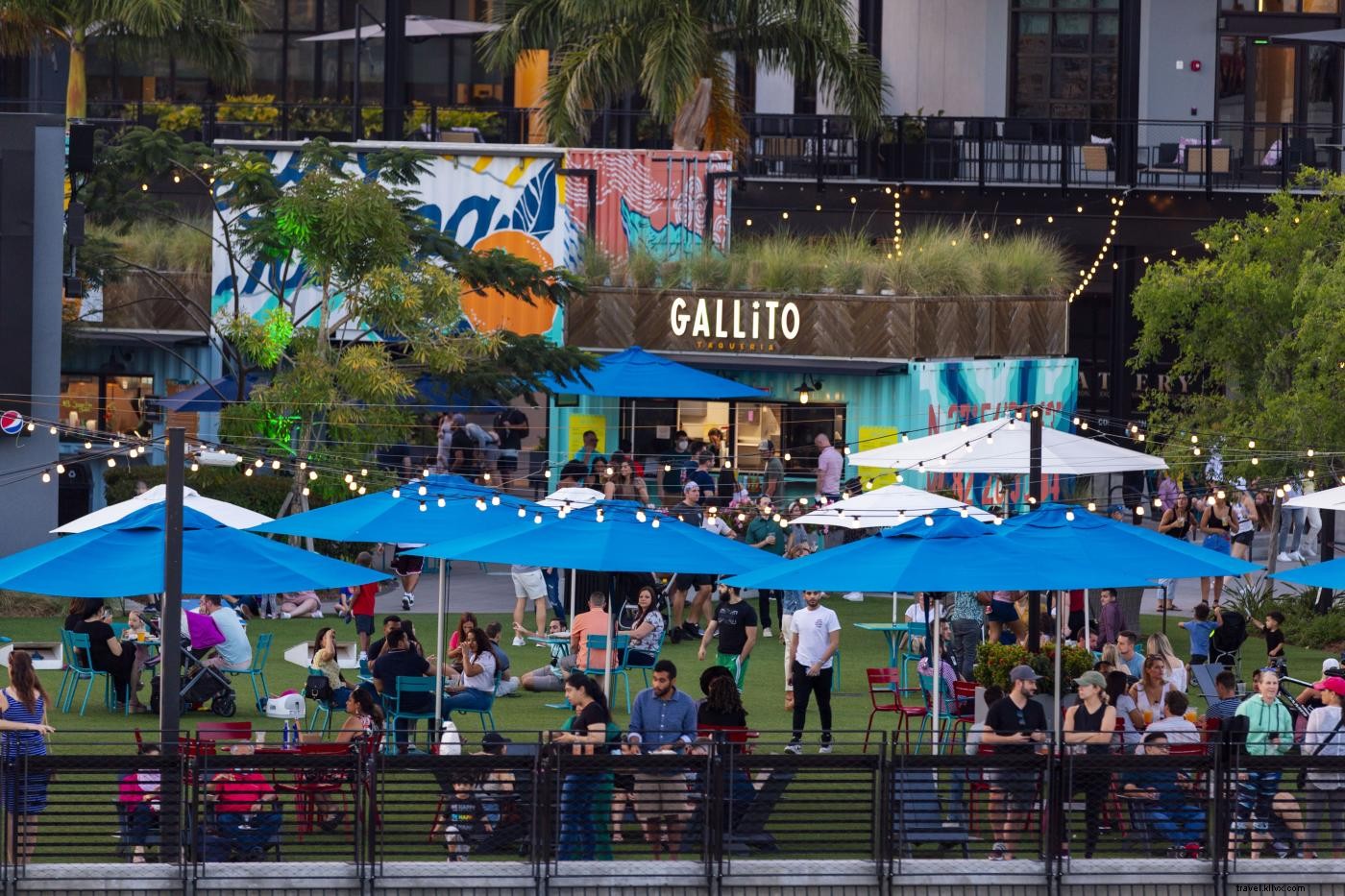 10 Must-Do Kid-Friendly Activities in Tampa Bay for Epic Family Summer Fun