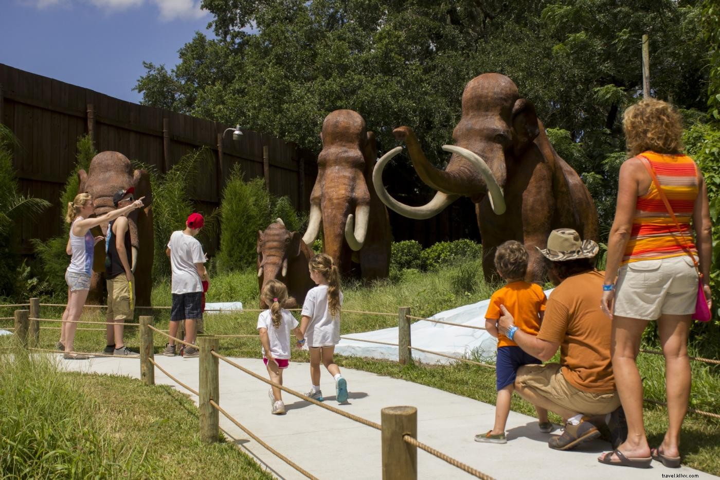 10 Must-Do Kid-Friendly Activities in Tampa Bay for Epic Family Summer Fun