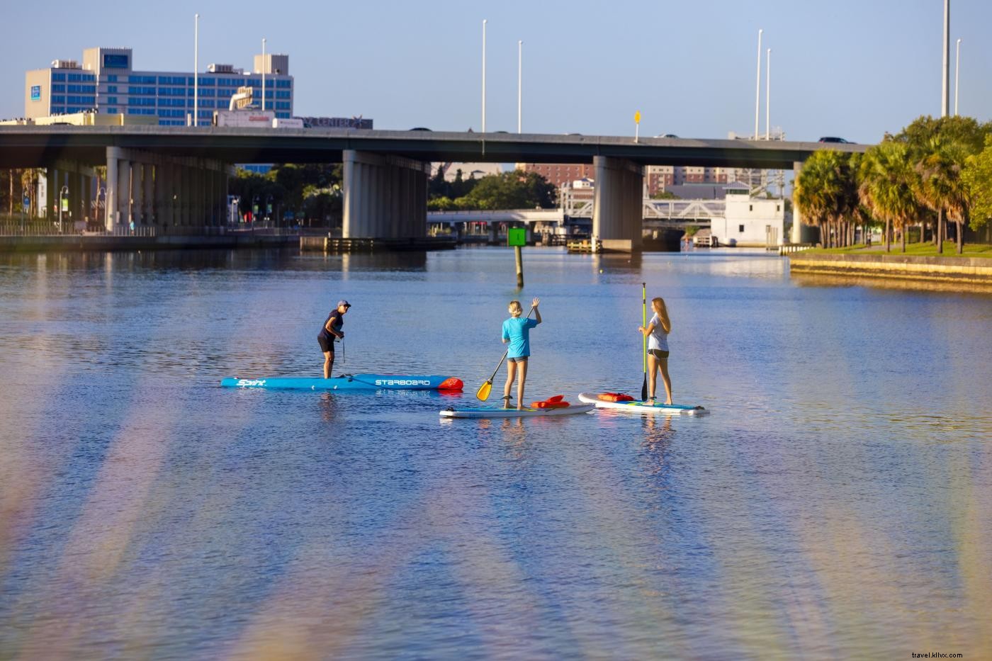 10 Must-Do Kid-Friendly Activities in Tampa Bay for Epic Family Summer Fun