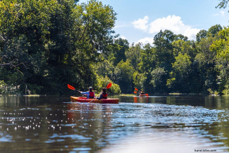 Discover Tampa Bay s Great Outdoors: Paddle, Hike, and Explore Nature