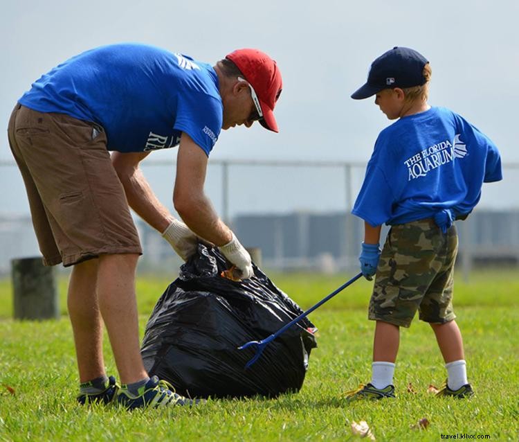 Discover Tampa Bay s Great Outdoors: Paddle, Hike, and Explore Nature