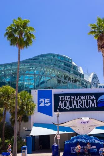 Discover Tampa Bay s Great Outdoors: Paddle, Hike, and Explore Nature