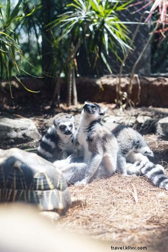 Discover Tampa Bay s Great Outdoors: Paddle, Hike, and Explore Nature