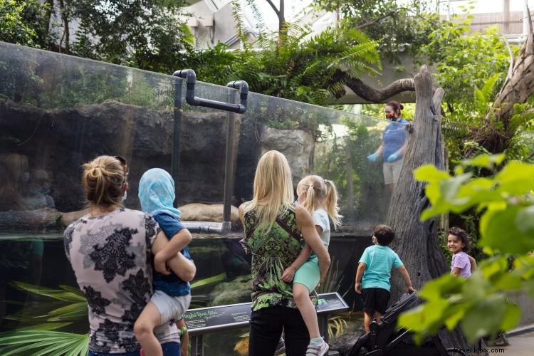 Discover Tampa Bay s Great Outdoors: Paddle, Hike, and Explore Nature