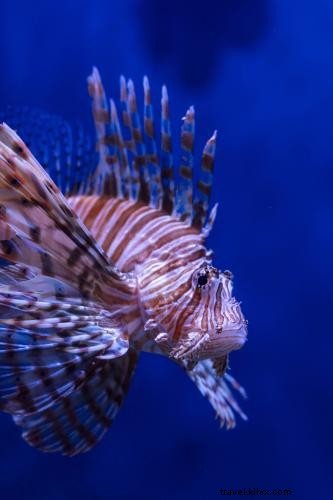 Discover Tampa Bay s Great Outdoors: Paddle, Hike, and Explore Nature