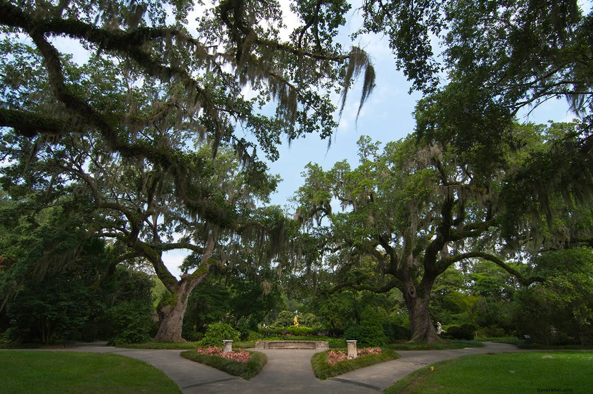 Brookgreen Gardens  Brew at the Zoo: A Beloved Annual Fall Event in the Grand Strand