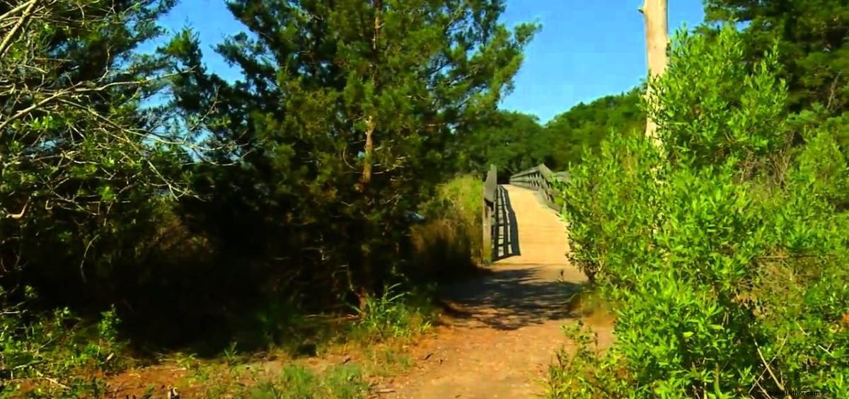 Top 5 Fall Photo Spots in Myrtle Beach, SC: Stunning Family Portrait Locations